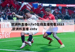 欧洲杯直播cctv5在线直播观看2023,欧洲杯直播 cntv