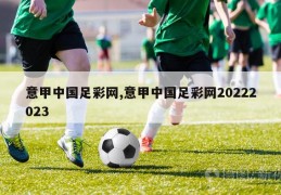 意甲中国足彩网,意甲中国足彩网20222023